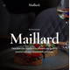 Maillard is a free website template