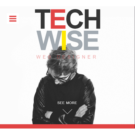 TechWise
