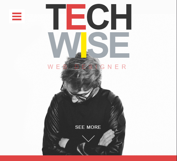 TechWise