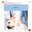 PetCare: plantilla gratuita de sitio web para clínica de mascotas en HTML5 y Bootstrap 4