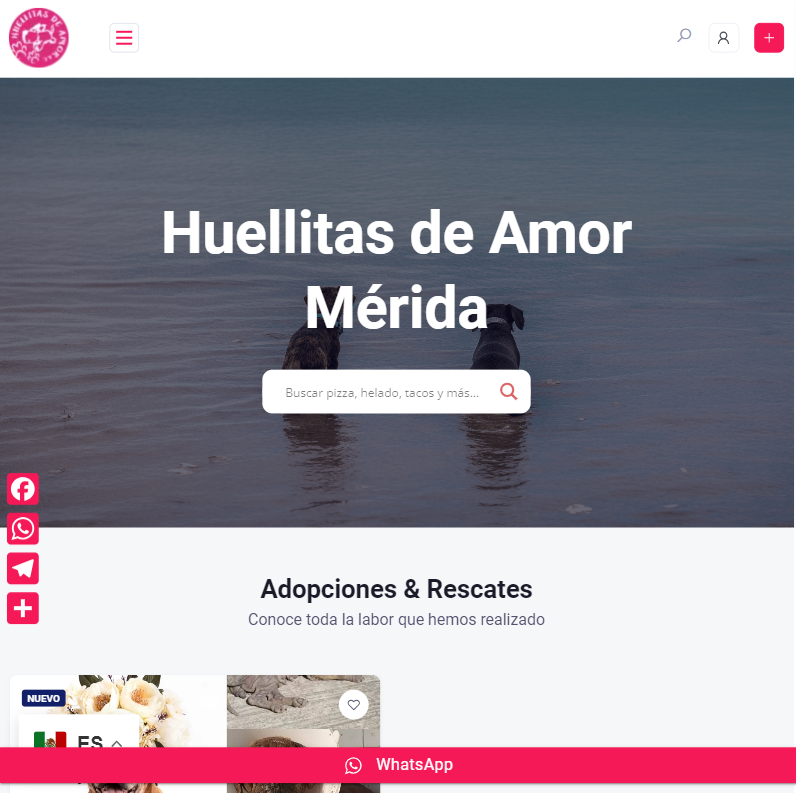 Huellitas de amor Mérida